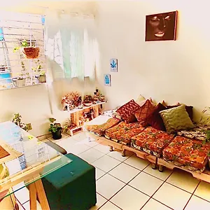 Meu Abrigo , Recife Brasil